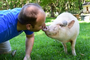 Piggy Sue loves Willie. She actually prefers him over Leslie. 